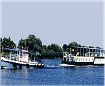 Cazare Hoteluri Delta Dunarii |
		Cazare si Rezervari la Hotel Plutitor Tours Galex din Delta Dunarii